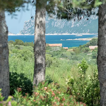 Hotel Ollastu Olbia