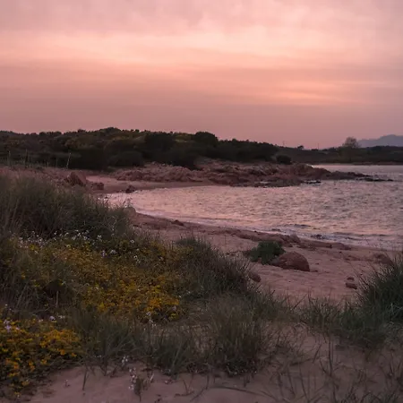 Ollastu Отель 4*