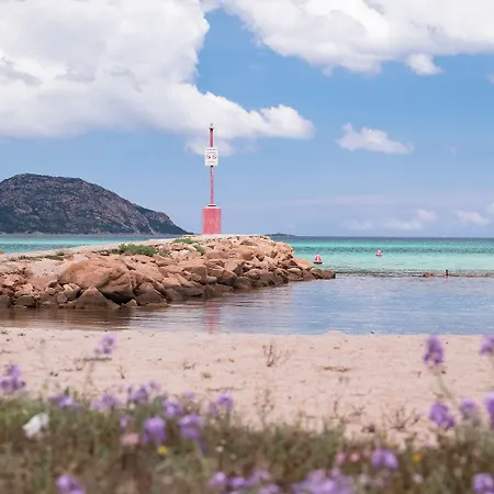 Ollastu Отель Ольбия