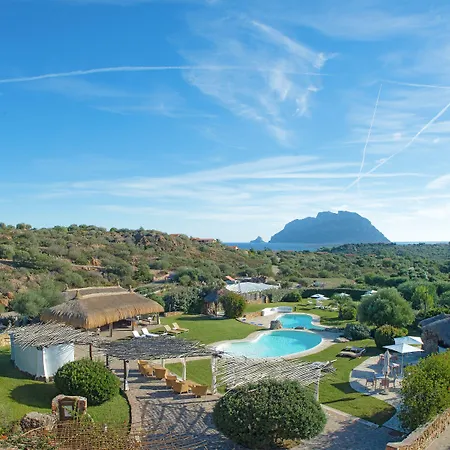 Ollastu Ольбия